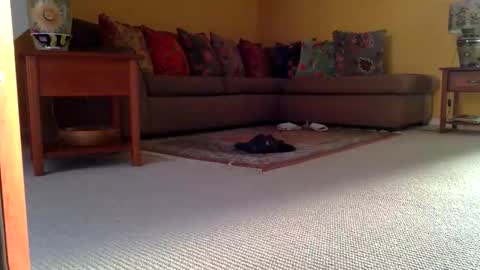 cumonherguys online show from 11-08-25, 08:36