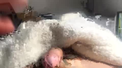 Snapshot of cumonmyf33t chatting on 02-22-25, 12:19 cumonmyf33t online show from 02-22-25, 12:19