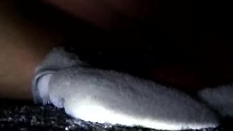 Snapshot of cumsinmealot chatting on 01-14-25, 11:10 Aprilia online show from 01-14-25, 11:10