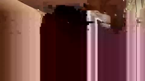 Snapshot of cumsinmealot chatting on 02-22-25, 01:00 Aprilia online show from 02-22-25, 01:00