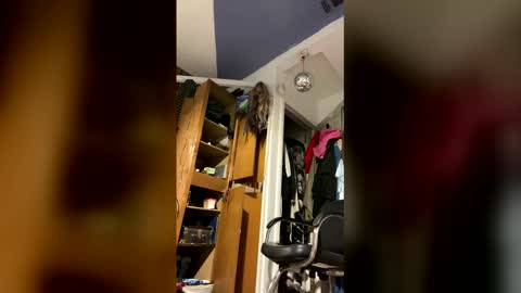 Snapshot of cumsinmealot chatting on 02-02-26, 09:35 Aprilia online show from 02-02-26, 09:35