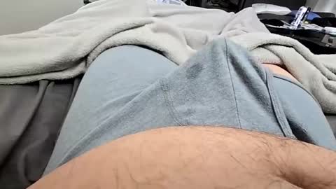 cumvet online show from 12-08-24, 02:41