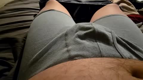 cumvet online show from 09-30-25, 10:48