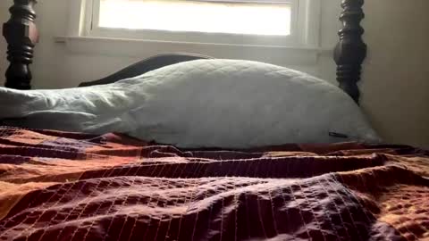 Curiousperformance online show from 12-04-24, 01:53