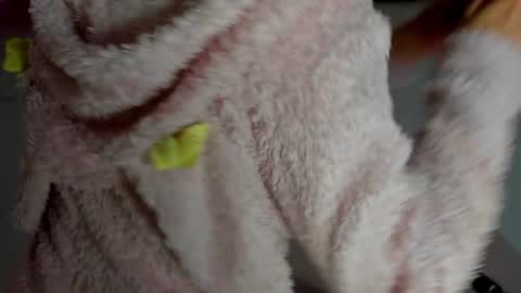 Antonia online show from 11-12-25, 11:14