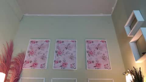 DANI online show from 11-20-25, 12:05