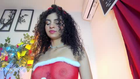 Snapshot of curlyrose_ chatting on 12-24-24, 11:55 Rose online show from 12-24-24, 11:55