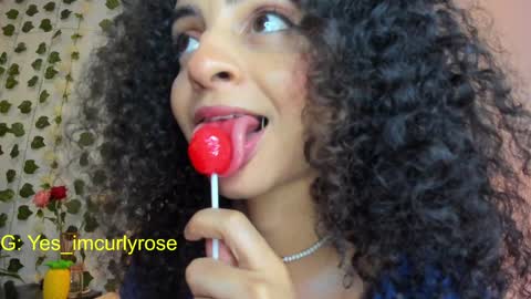 Snapshot of curlyrose_ chatting on 01-22-25, 12:16 Rose online show from 01-22-25, 12:16