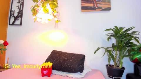 Snapshot of curlyrose_ chatting on 01-28-25, 08:04 Rose online show from 01-28-25, 08:04