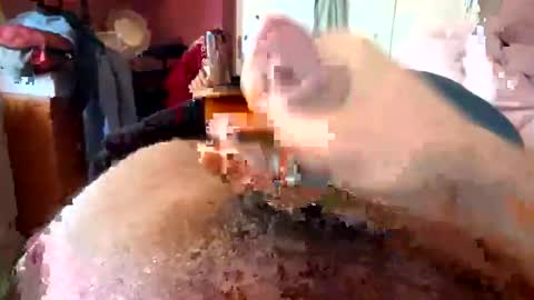 Snapshot of currocll chatting on 10-06-25, 08:01 currocll online show from 10-06-25, 08:01