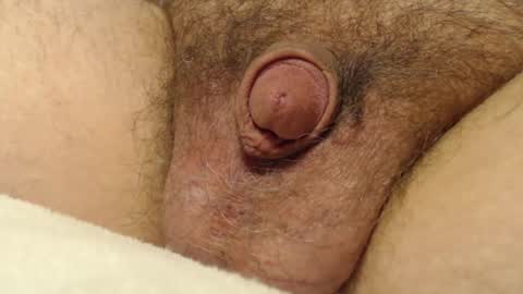 Snapshot of curve66 chatting on 12-04-25, 03:38 curve66 online show from 12-04-25, 03:38