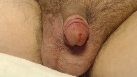 Snapshot of curve66 chatting on 01-10-26, 09:30 curve66 online show from 01-10-26, 09:30