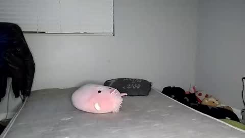 Lucifina ganja kittens online show from 12-20-24, 04:42