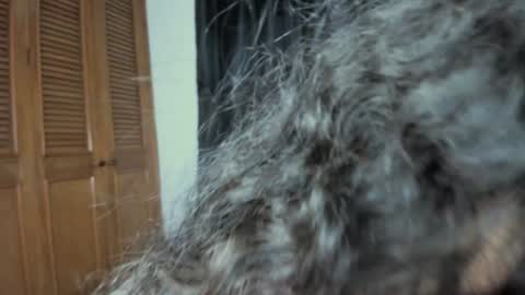 curvypornxxx online show from 01-24-25, 10:43