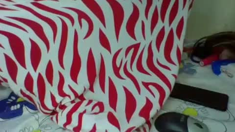 Snapshot of cute_sassy3 chatting on 10-20-25, 04:57 love online show from 10-20-25, 04:57