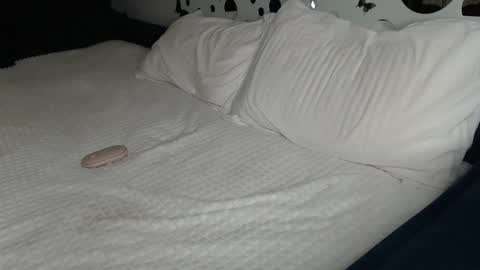 Snapshot of cuteemouse chatting on 01-27-25, 01:52 Anna online show from 01-27-25, 01:52