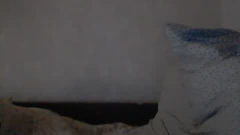 Snapshot of cutekattie chatting on 12-08-24, 09:24 cutekattie online show from 12-08-24, 09:24