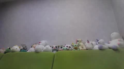 Chloe online show from 10-10-25, 12:53