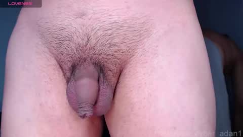 Snapshot of cyber_adan1 chatting on 01-16-25, 01:58 cyber online show from 01-16-25, 01:58