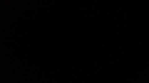 Snapshot of dabirdfree chatting on 12-04-24, 10:30 Destroyer online show from 12-04-24, 10:30