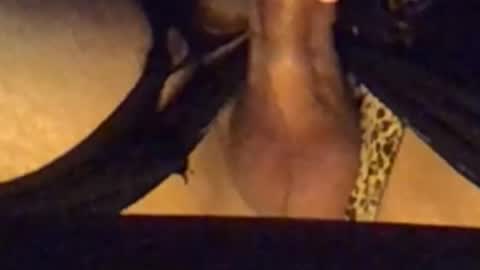 Snapshot of daddypervbuttprincess chatting on 09-13-25, 02:50 daddypervbuttprincess online show from 09-13-25, 02:50