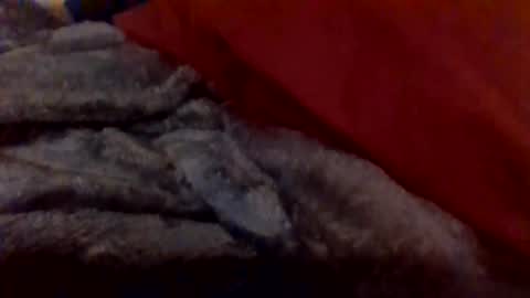 daddywhite88 online show from 01-14-26, 12:38