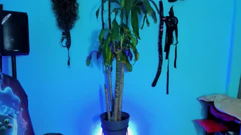 Snapshot of damian_torner chatting on 10-28-25, 07:56 Damian torner online show from 10-28-25, 07:56