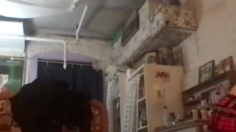 Your submissive patient online show from 12-04-24, 08:12