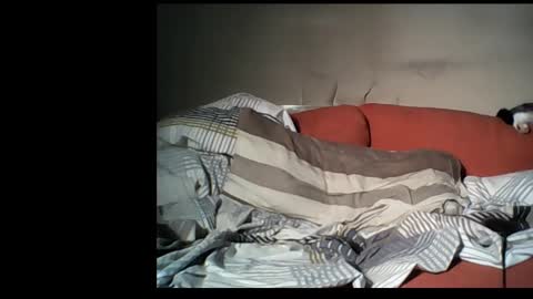 dane1982 online show from 01-01-25, 04:39