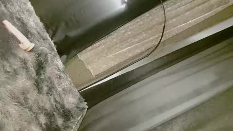 Nica online show from 09-10-25, 08:25