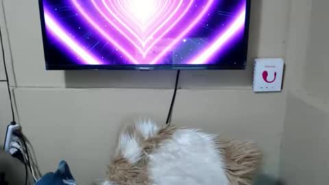 Snapshot of danica_wild chatting on 12-15-25, 03:44 Danica online show from 12-15-25, 03:44