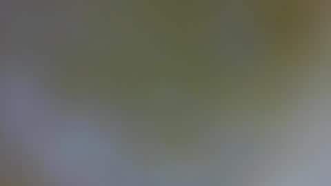 daniela_sexy34 online show from 01-16-25, 04:50