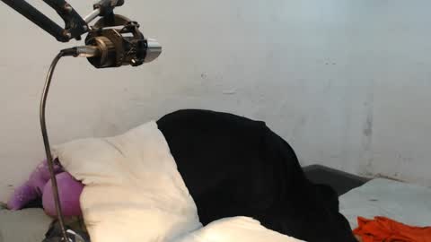 danielitopapii online show from 12-13-24, 06:49