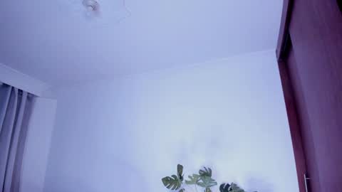 Snapshot of danna_stewart chatting on 12-30-24, 02:42 Paulina online show from 12-30-24, 02:42