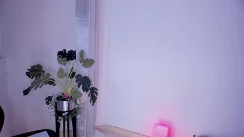 Snapshot of danna_stewart chatting on 03-02-25, 04:39 Paulina online show from 03-02-25, 04:39