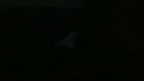 Dee online show from 12-24-24, 12:00