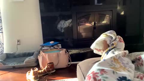 dannyboy621 online show from 11-02-25, 01:24