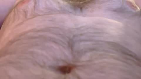 Master Dan online show from 03-26-26, 08:09