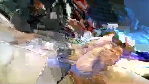 dannytabb1 online show from 11-11-25, 05:40