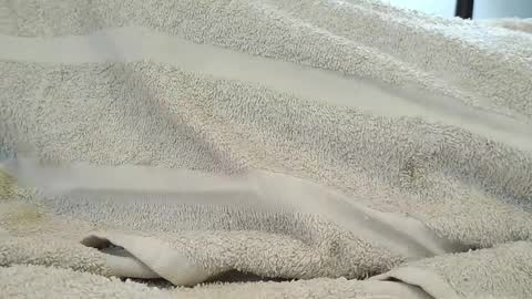 Snapshot of dapppper chatting on 09-18-25, 06:10 dapppper online show from 09-18-25, 06:10