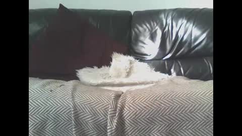 DaRealDonDaddy online show from 03-09-25, 11:58