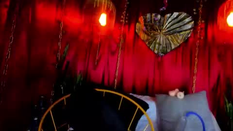 dark hunter  online show from 02-20-26, 06:26