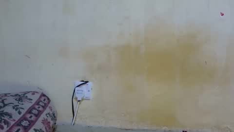 dark_princess1 online show from 10-08-25, 07:50