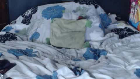 dasha6 online show from 02-12-25, 07:23