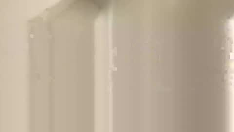 davepil29 online show from 10-26-25, 09:53