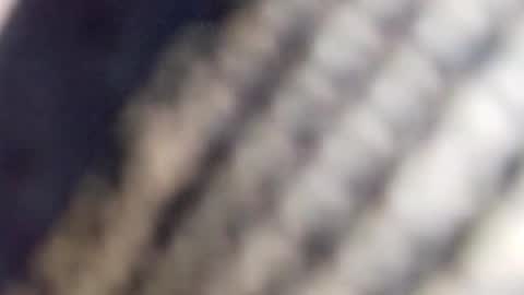 david_stone1969 online show from 01-23-25, 01:56