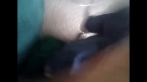 davidf75 online show from 11-06-25, 09:54