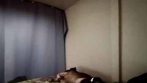 Juice cock online show from 12-11-24, 04:18