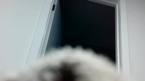 Davvyd online show from 09-18-25, 04:31