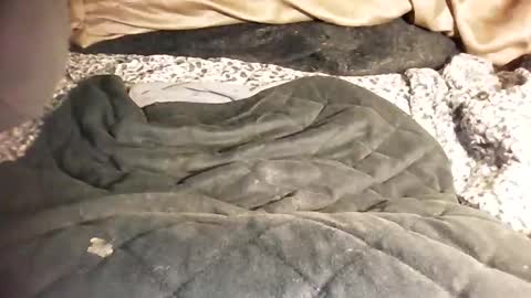 ddick0303 online show from 03-06-26, 12:01